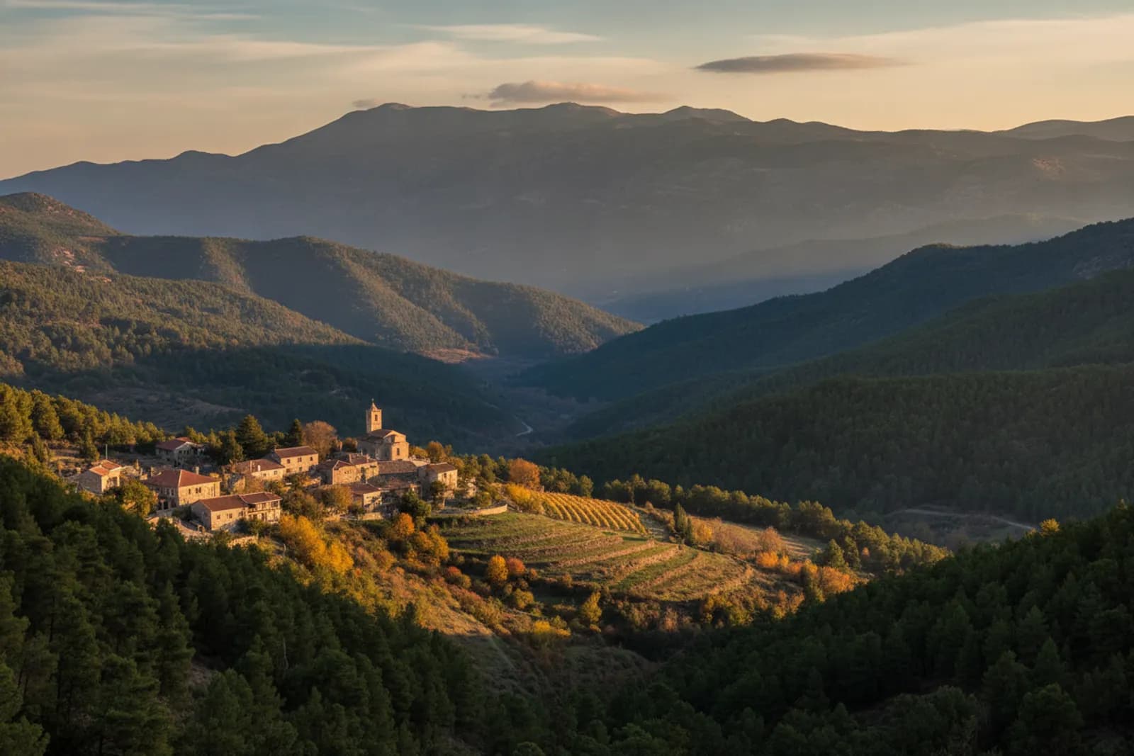 Pine-covered ridges of the Troodos Mountains above a stone village and terraced vineyards in autumn light